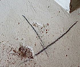 Отзывы клиентов